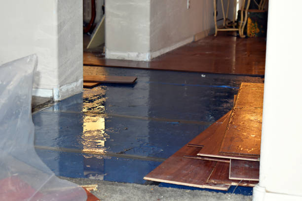 Professional Sewage Cleanup technician working in Leon, IA